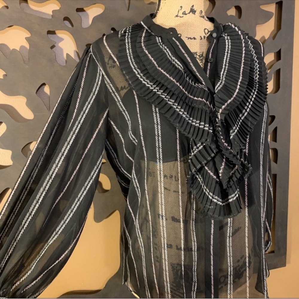 WHBM Sheer Ruffle Blouse - Picture 2 of 10